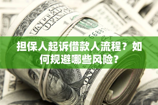 济南担保人起诉借款人流程？如何规避哪些风险？