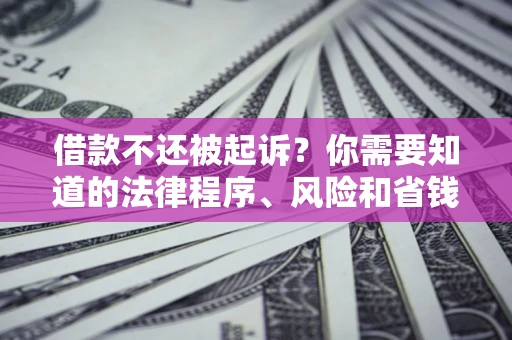 济南借款不还被起诉？你需要知道的法律程序、风险和省钱技巧
